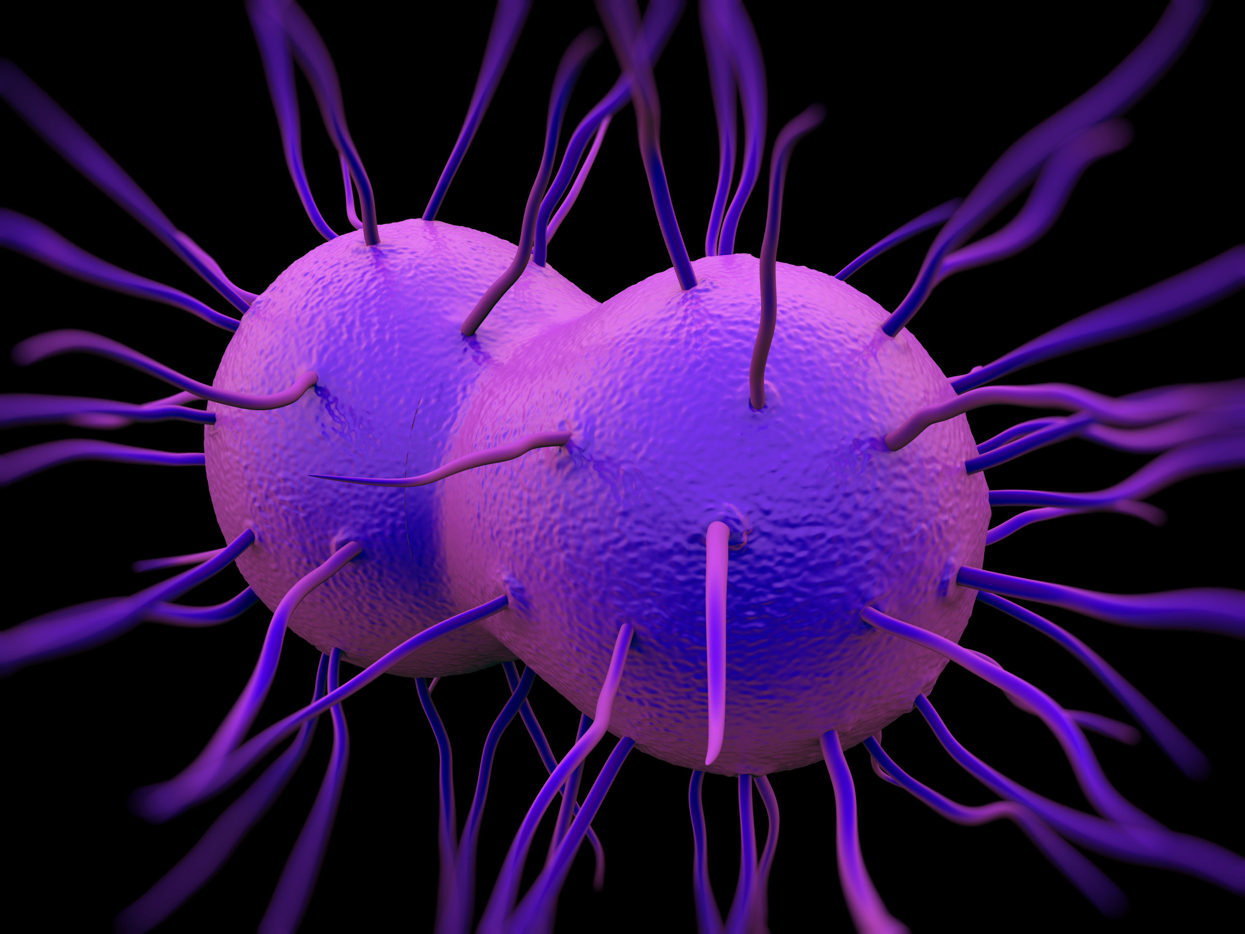 Gonorrhea Rate Has Shot Up In California