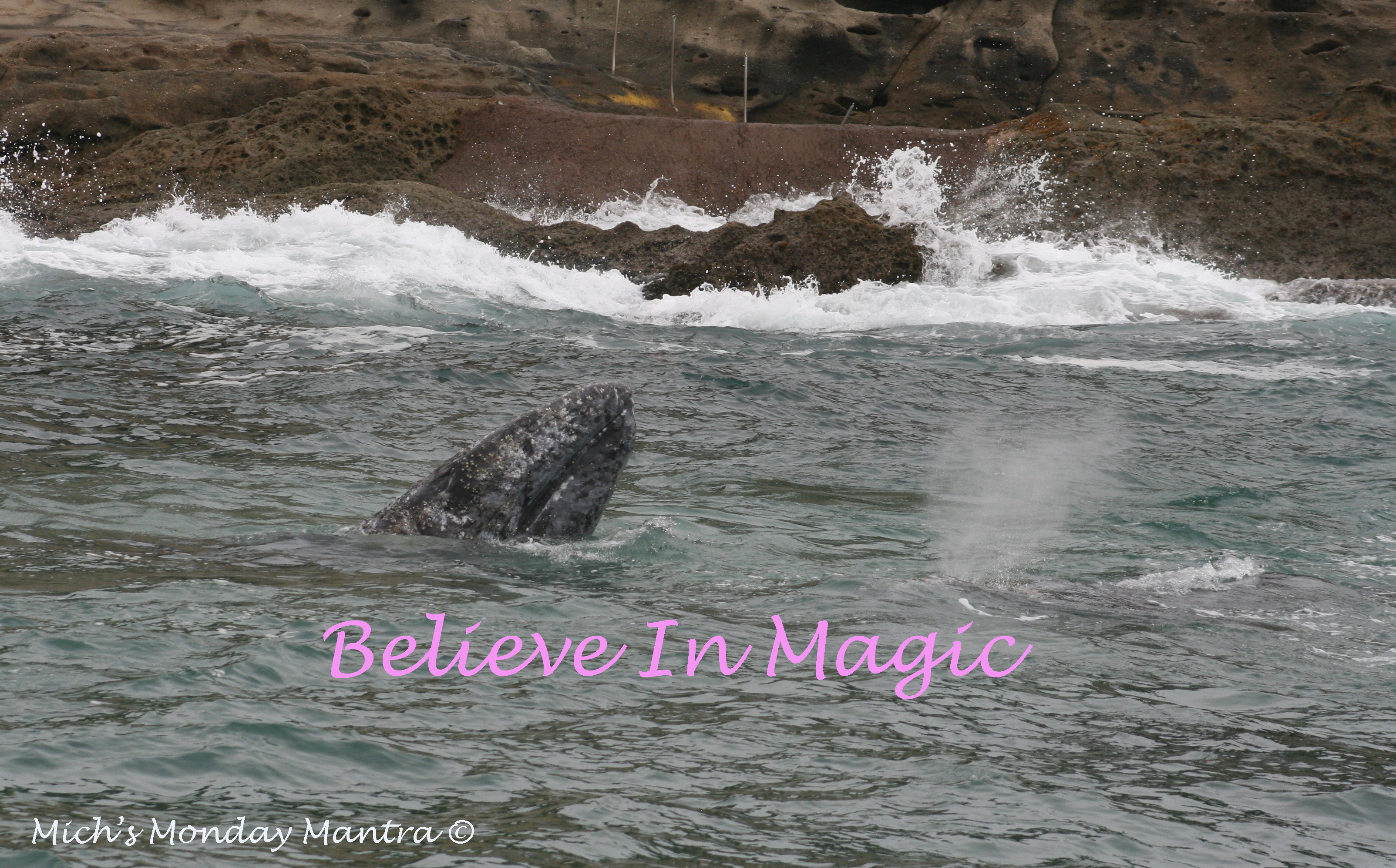 Believe In Magic- Mich’s Monday Mantra For The New Year